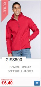 GISS800
